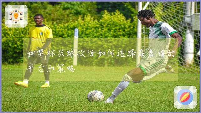 世界杯买球投注如何选择最靠谱的平台和策略