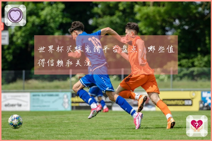世界杯买球竞猜平台盘点，哪些值得信赖和关注