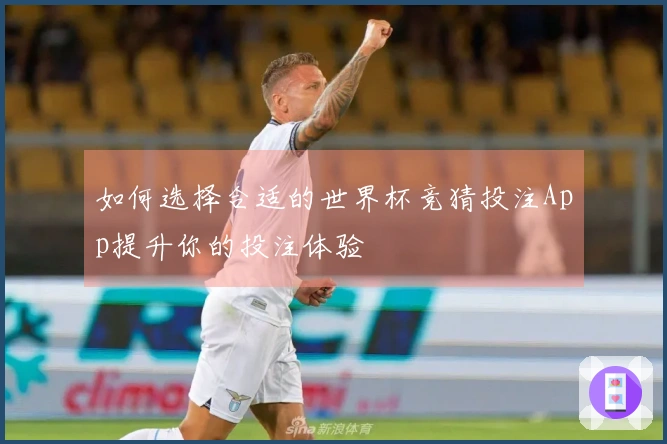 如何选择合适的世界杯竞猜投注App提升你的投注体验