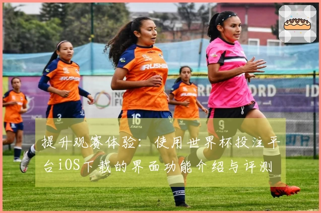 提升观赛体验：使用世界杯投注平台iOS下载的界面功能介绍与评测