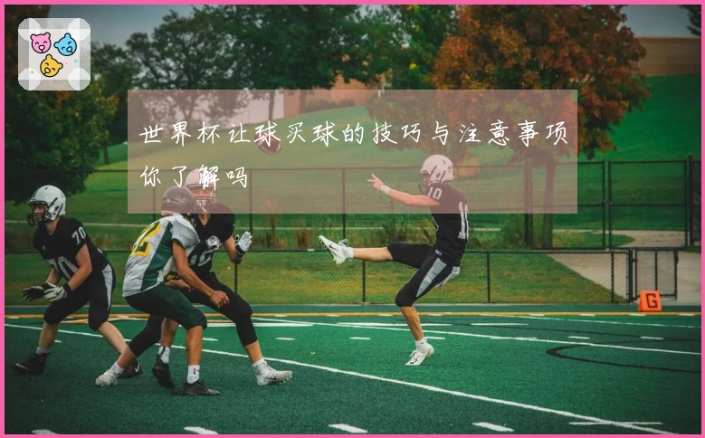 世界杯让球买球的技巧与注意事项你了解吗