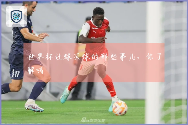 世界杯让球买球的那些事儿，你了解吗