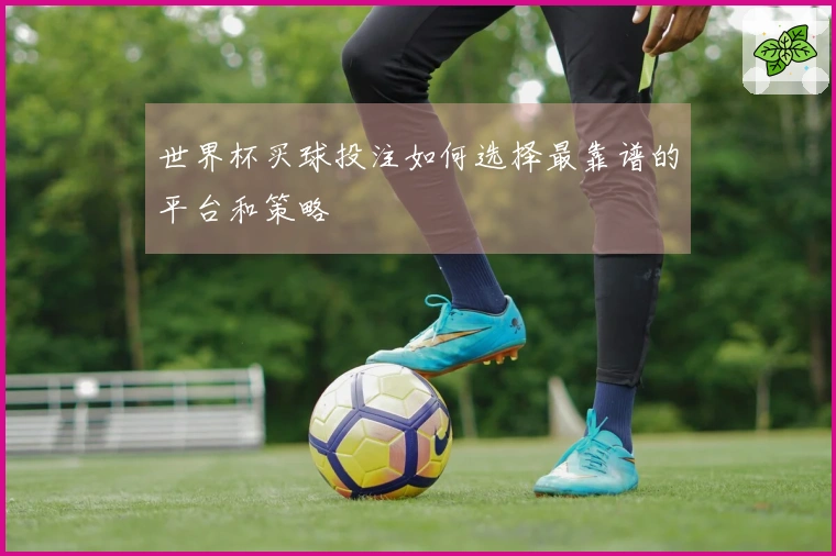 世界杯买球投注如何选择最靠谱的平台和策略