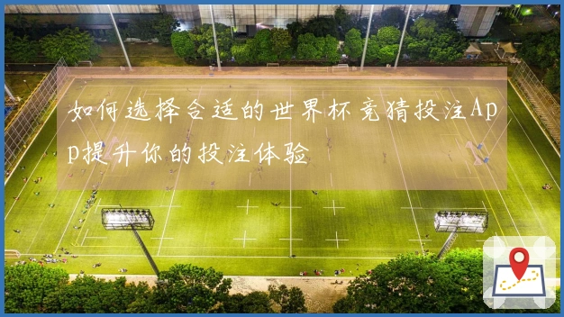 如何选择合适的世界杯竞猜投注App提升你的投注体验