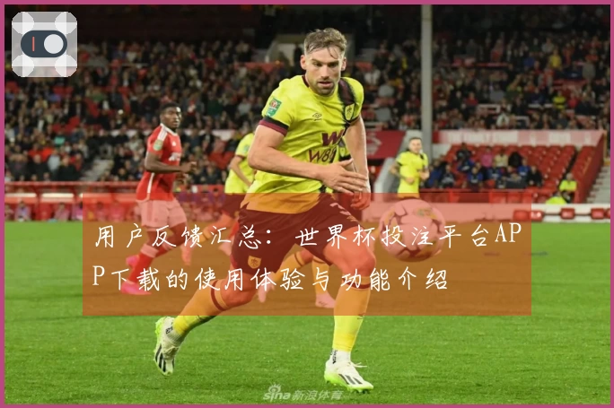 用户反馈汇总：世界杯投注平台APP下载的使用体验与功能介绍