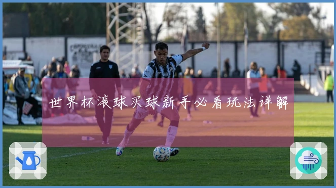 世界杯滚球买球新手必看玩法详解
