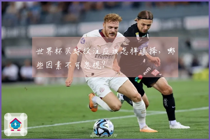 世界杯买球投注应该怎样选择，哪些因素不可忽视？