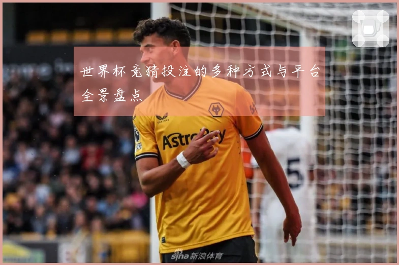 世界杯竞猜投注的多种方式与平台全景盘点