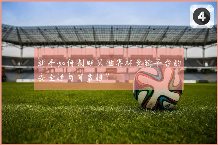 新手如何判断买世界杯竞猜平台的安全性与可靠性?