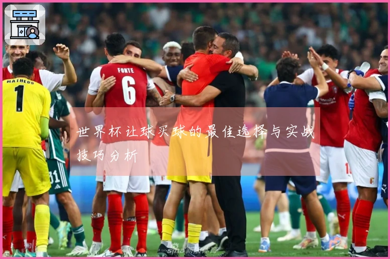 世界杯让球买球的最佳选择与实战技巧分析
