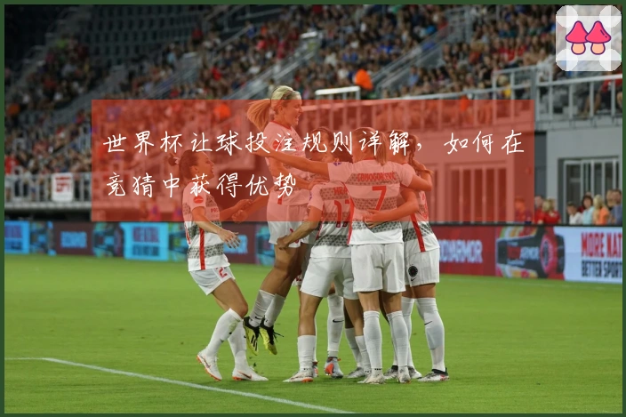 世界杯让球投注规则详解,如何在竞猜中获得优势