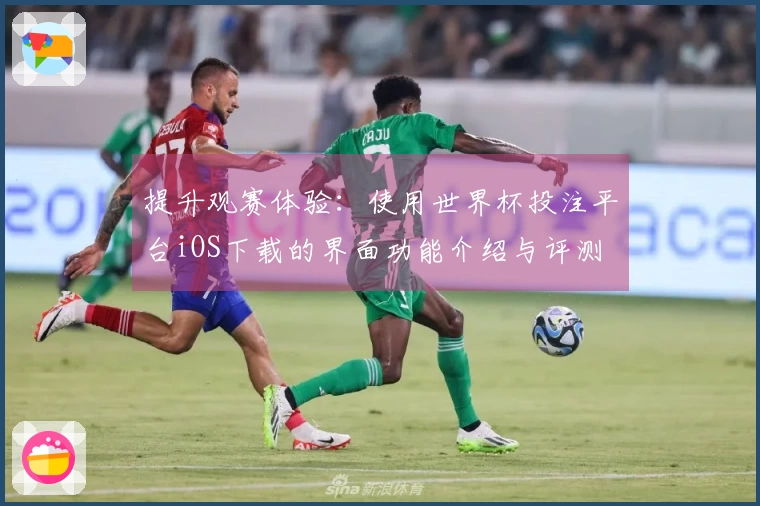 提升观赛体验:使用世界杯投注平台iOS下载的界面功能介绍与评测