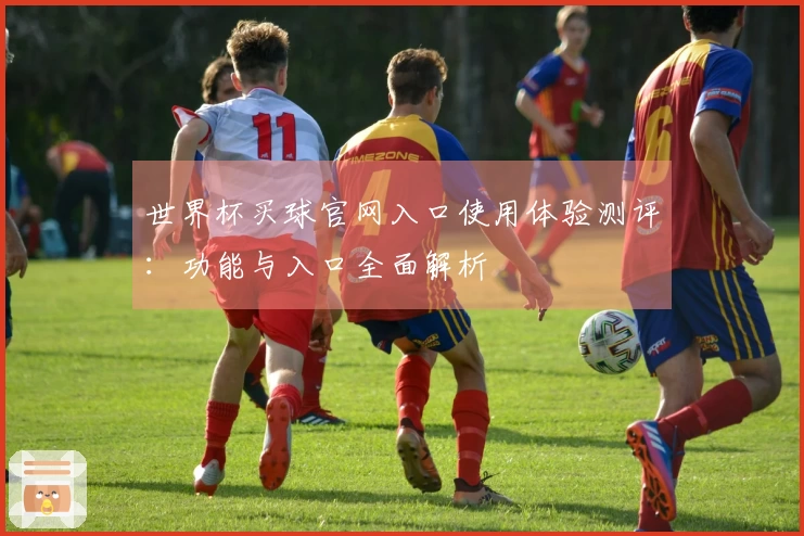 世界杯买球官网入口使用体验测评：功能与入口全面解析