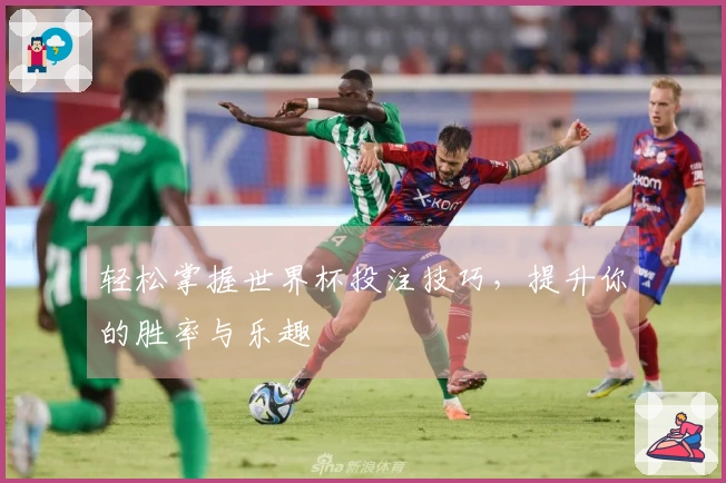 轻松掌握世界杯投注技巧，提升你的胜率与乐趣