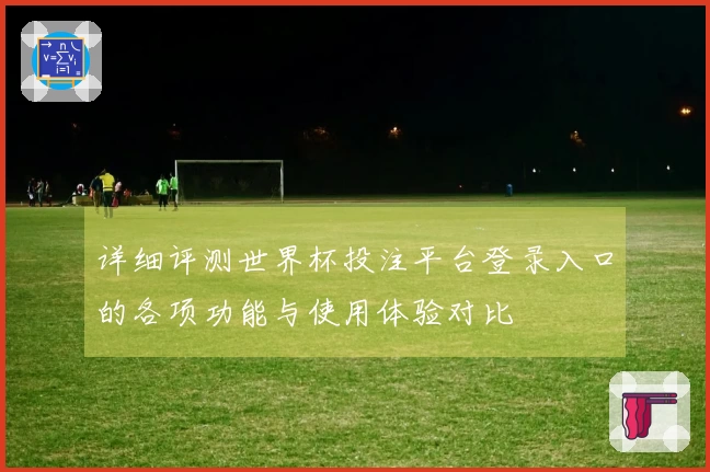 详细评测世界杯投注平台登录入口的各项功能与使用体验对比