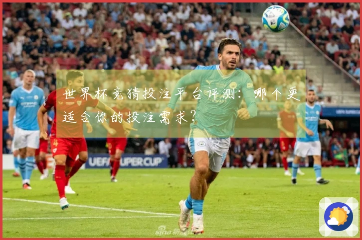 世界杯竞猜投注平台评测：哪个更适合你的投注需求？