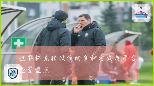 世界杯竞猜投注的多种方式与平台全景盘点