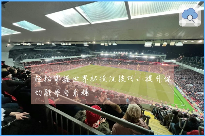 轻松掌握世界杯投注技巧,提升你的胜率与乐趣